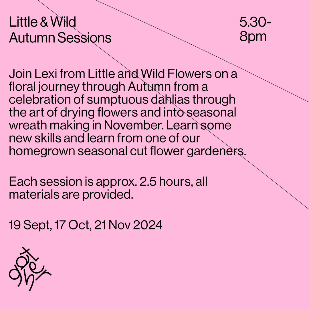 Little & Wild Autumn Sessions